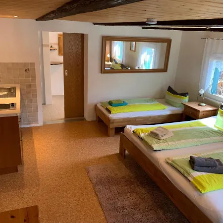 Haus Bergfriede Guest house *