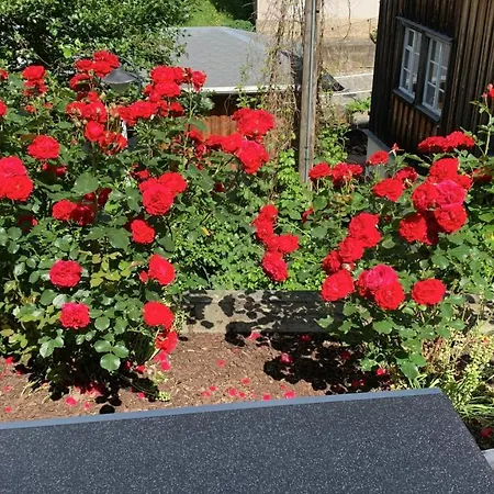 Haus Bergfriede * Bad Schandau