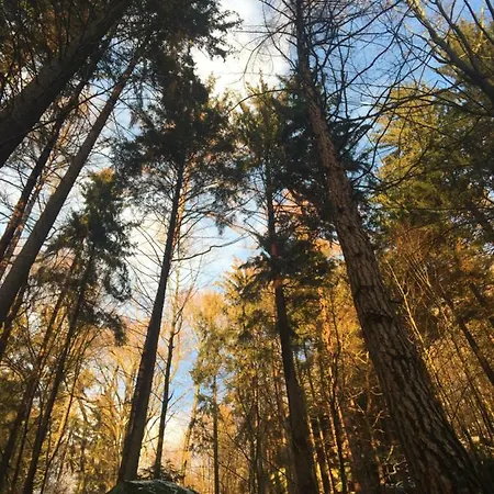 Haus Bergfriede * Bad Schandau