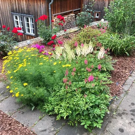 Haus Bergfriede * Bad Schandau