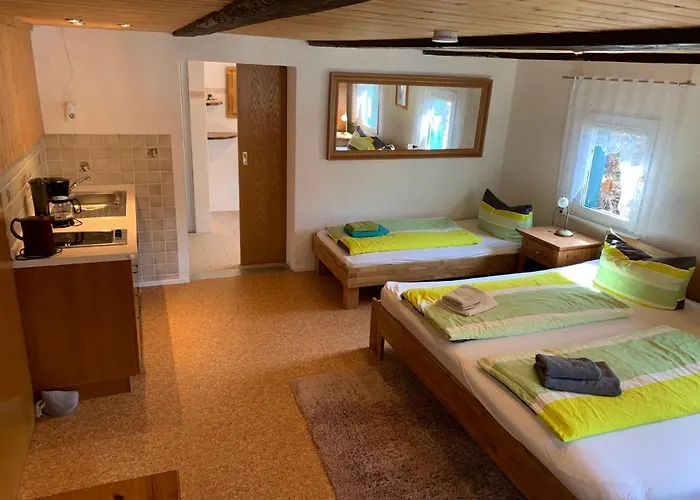 Haus Bergfriede Guest house *