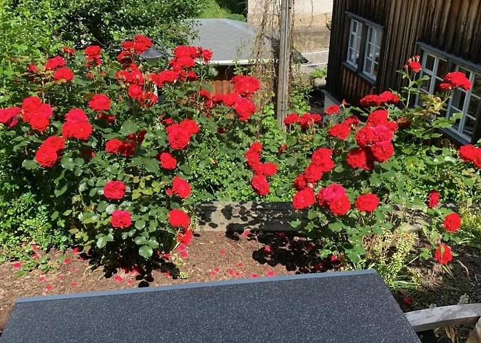 Haus Bergfriede * Bad Schandau