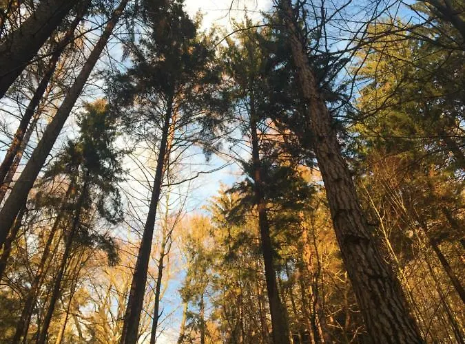 Haus Bergfriede * Bad Schandau